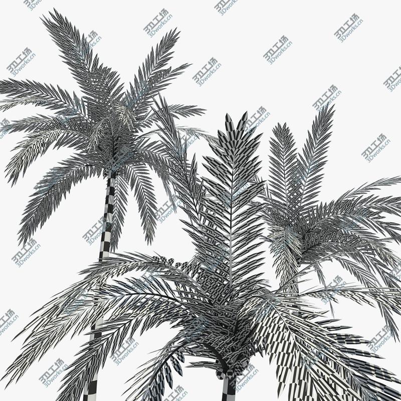 images/goods_img/202105072/Coconut Palms Set 01/4.jpg